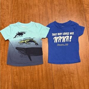 Boys 12 Month T-Shirt Lot